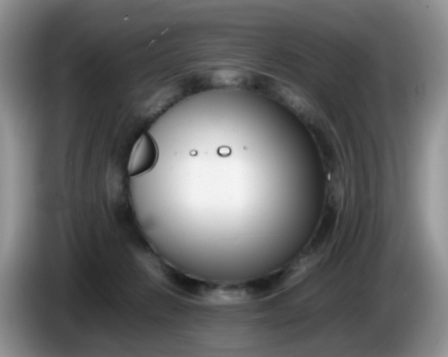 X0000086240270200704121939