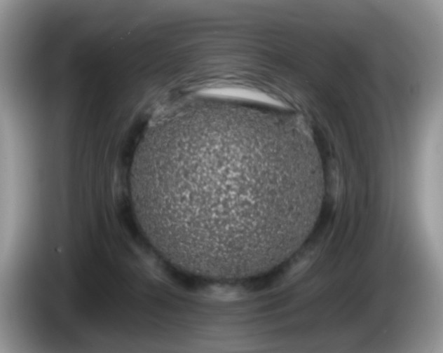 X0000086240272200704121939