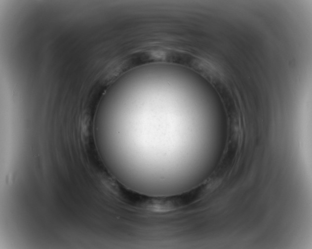 X0000086240275200704121939