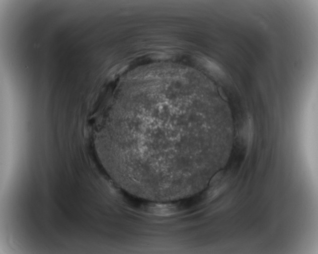 X0000086240277200704121939