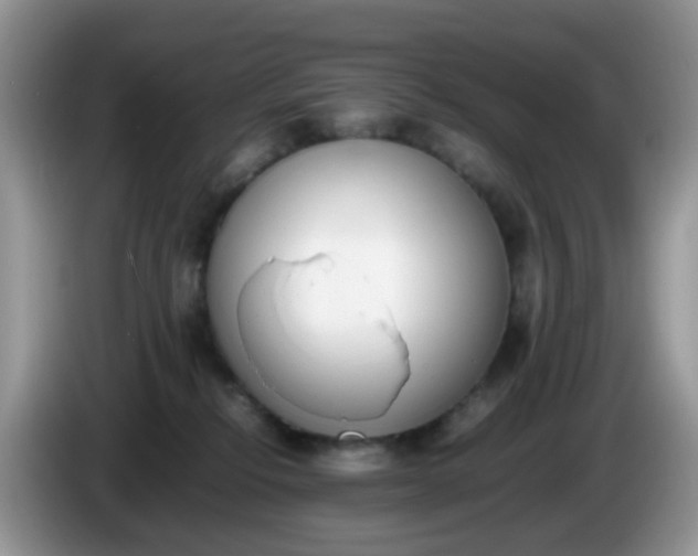 X0000086240278200704121939