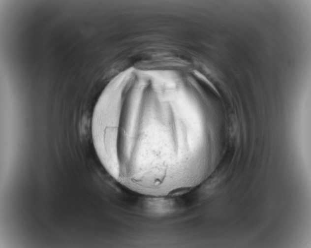 X0000086240281200704121939