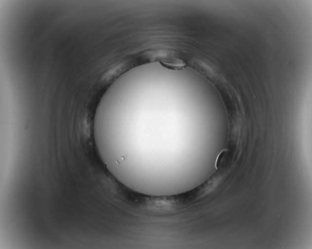 X0000086240282200704121939