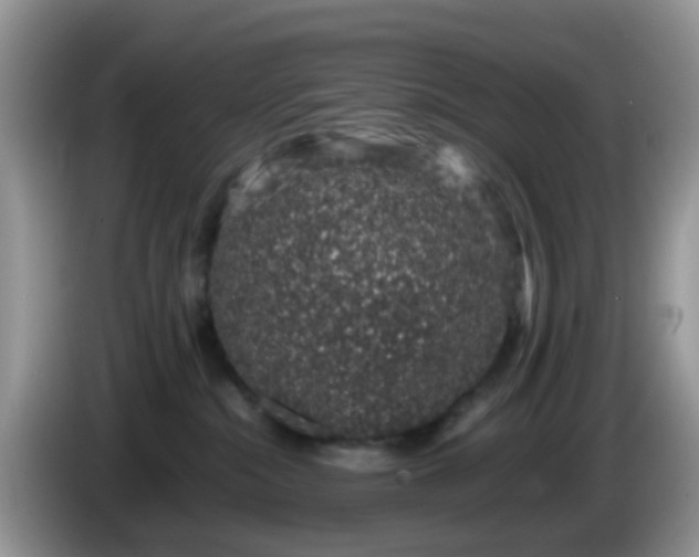 X0000086240284200704121939