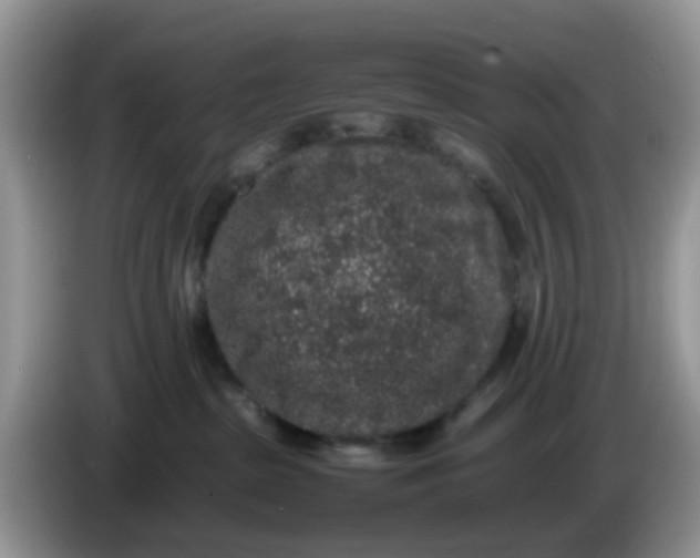 X0000086240285200704121939