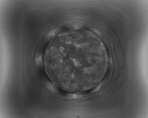 X0000086240286200704121939