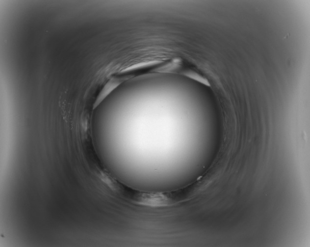 X0000086240288200704121939