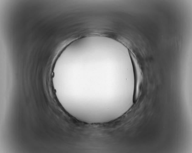 X0000086240289200704121938