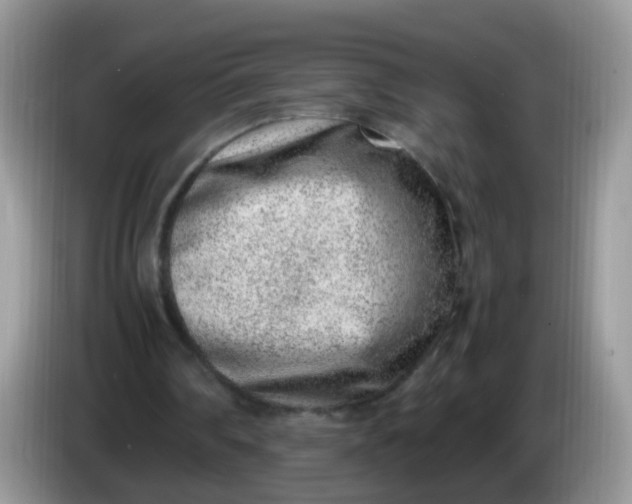 X0000086240290200704121938