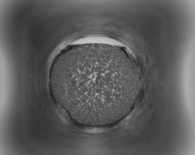 X0000086240293200704121938