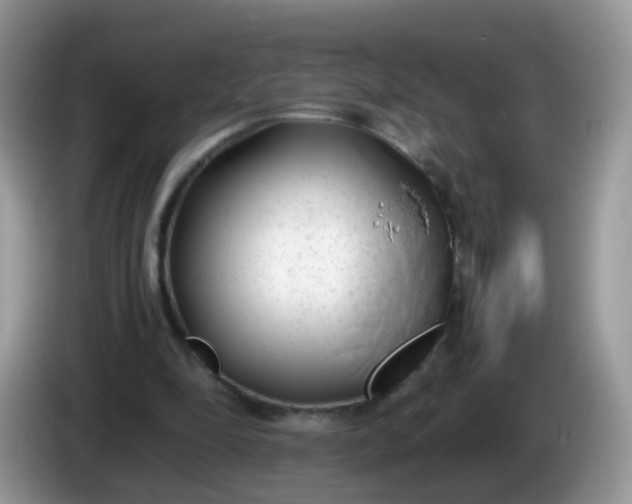 X0000086240294200704121938