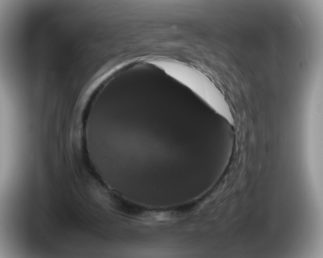 X0000086240295200704121938