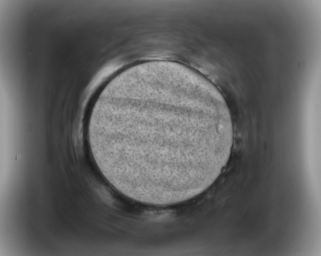 X0000086240296200704121938