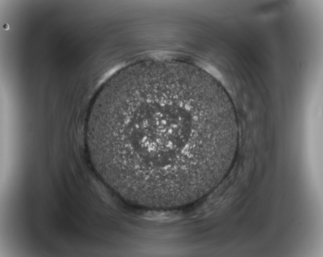 X0000086240297200704121938