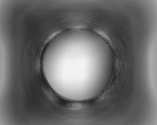 X0000086240298200704121938