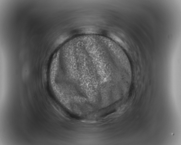 X0000086240299200704121938