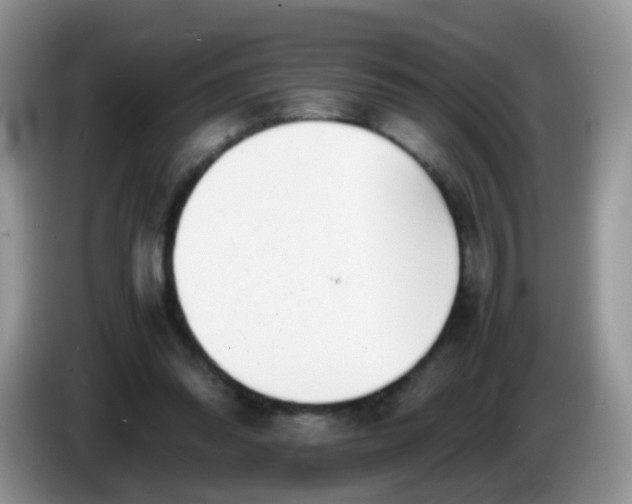 X0000086240302200704121938