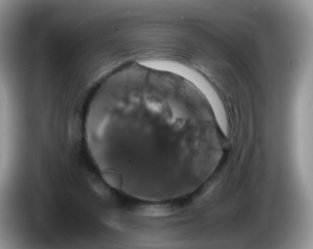 X0000086240303200704121938