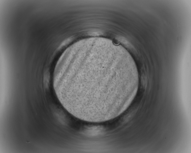 X0000086240304200704121938