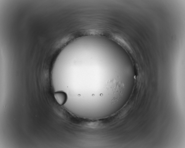X0000086240306200704121938