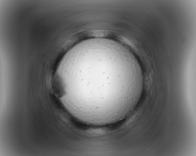 X0000086240307200704121938