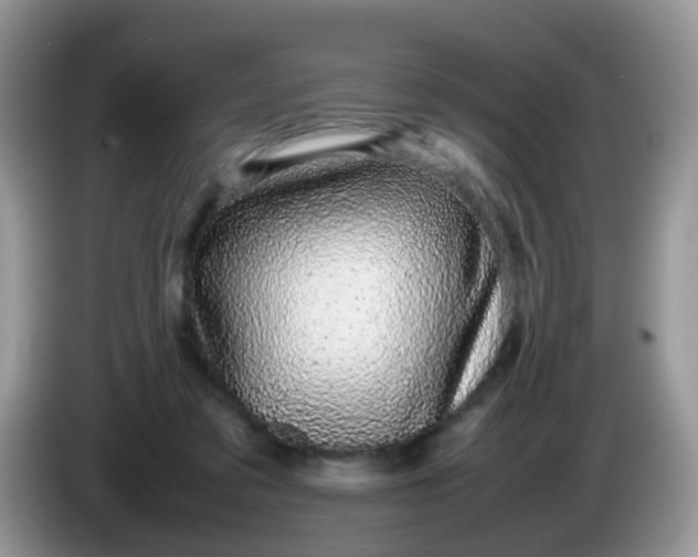 X0000086240309200704121938