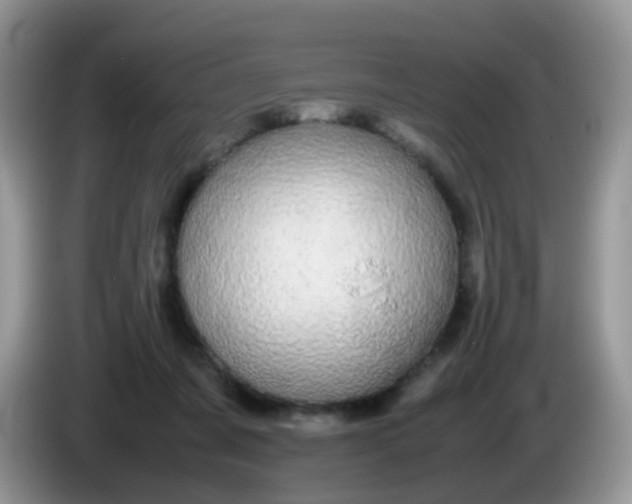 X0000086240311200704121938