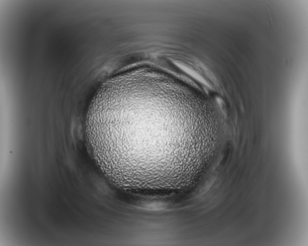 X0000086240313200704121938