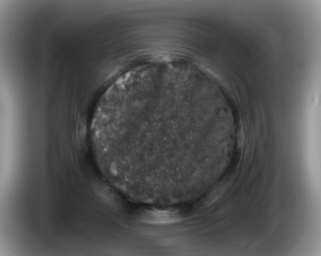 X0000086240314200704121938