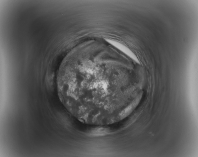 X0000086240319200704121938