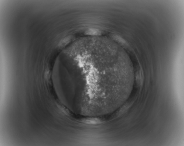 X0000086240322200704121938