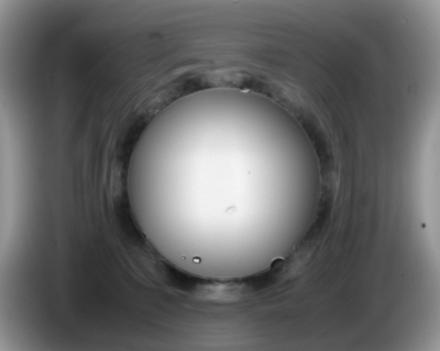 X0000086240323200704121938
