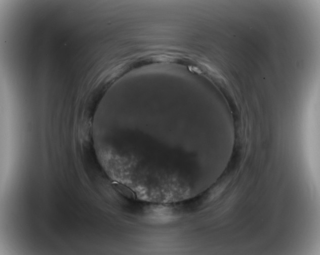 X0000086240325200704121938