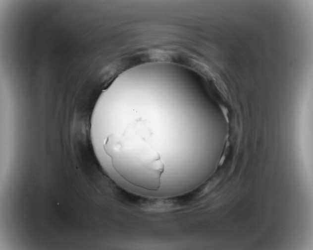 X0000086240329200704121938