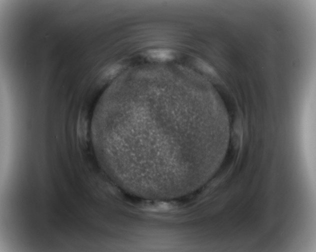 X0000086240330200704121938