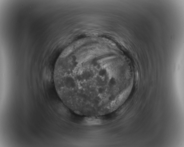 X0000086240331200704121938