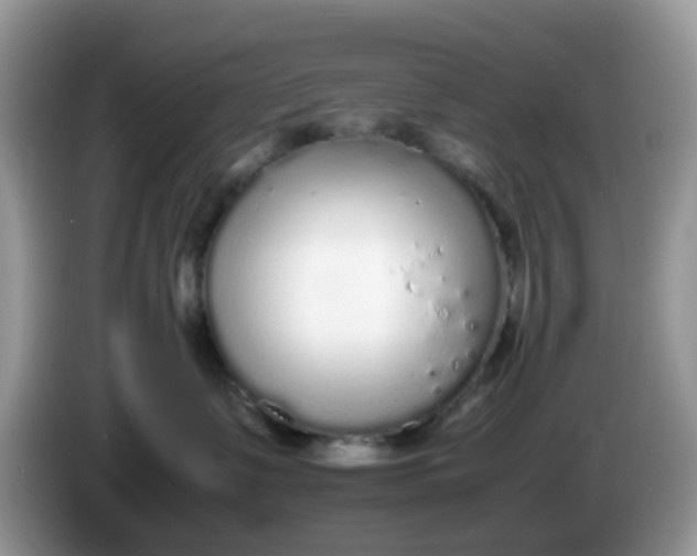 X0000086240335200704121938