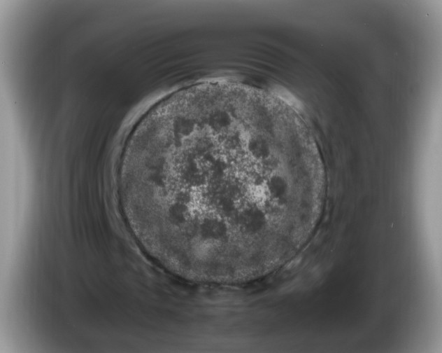 X0000086240337200704121937