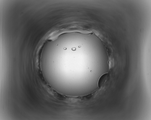 X0000086240339200704121937
