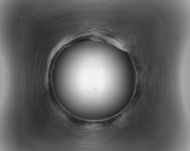 X0000086240340200704121937