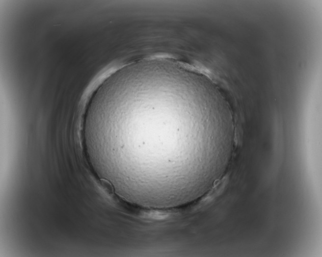 X0000086240341200704121937
