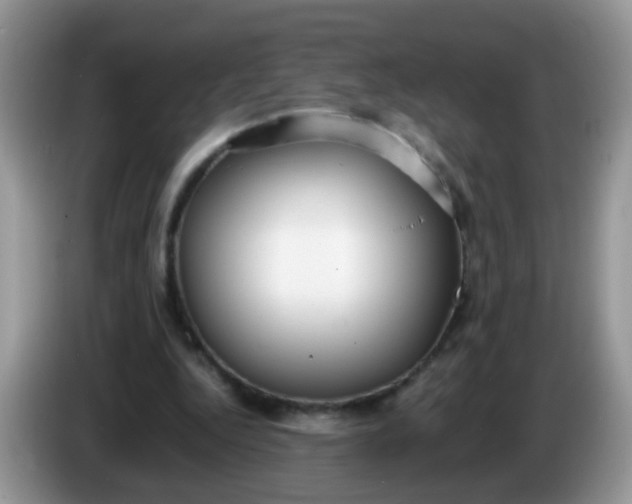 X0000086240344200704121937