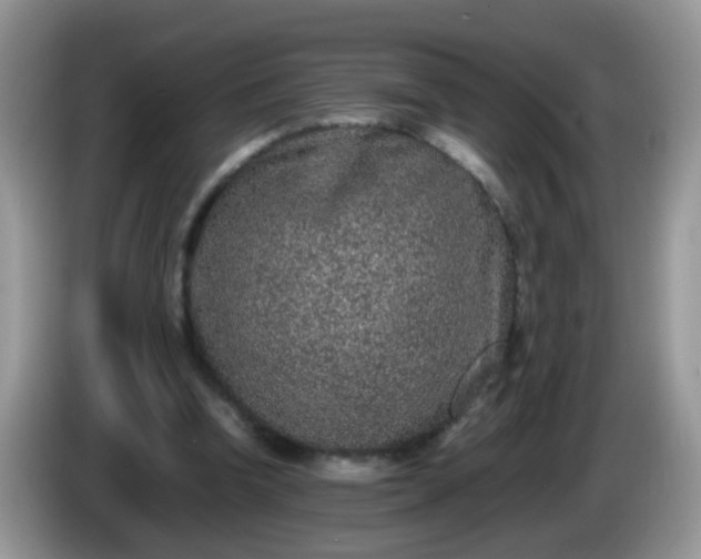 X0000086240346200704121937