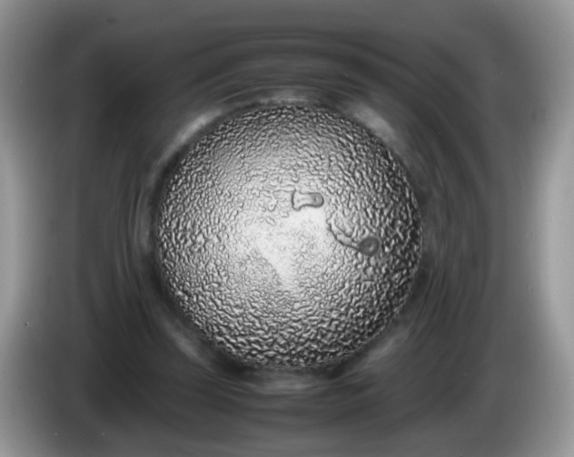 X0000086240347200704121937