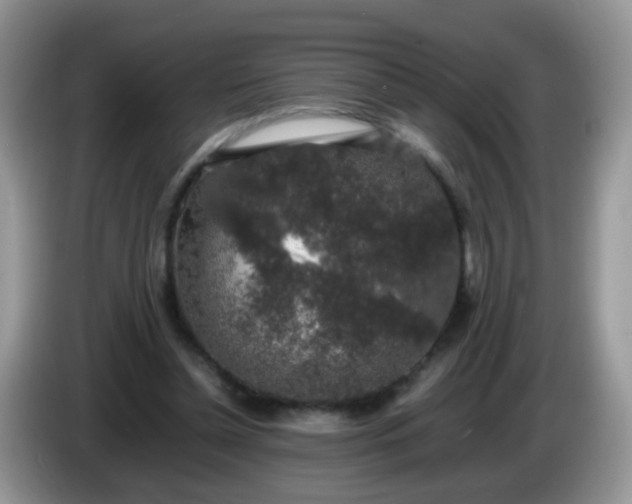 X0000086240348200704121937