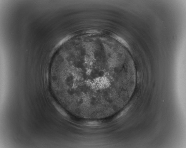 X0000086240349200704121937