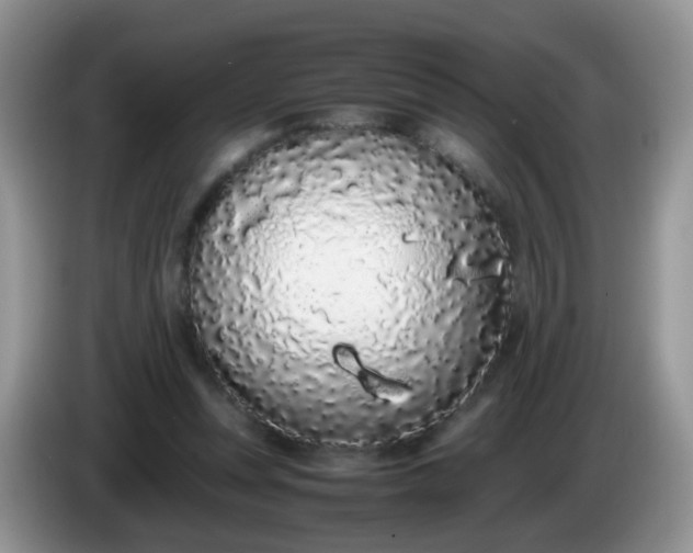 X0000086240351200704121937
