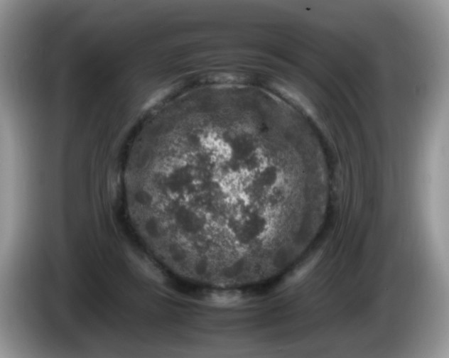 X0000086240355200704121937
