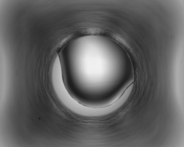 X0000086240356200704121937