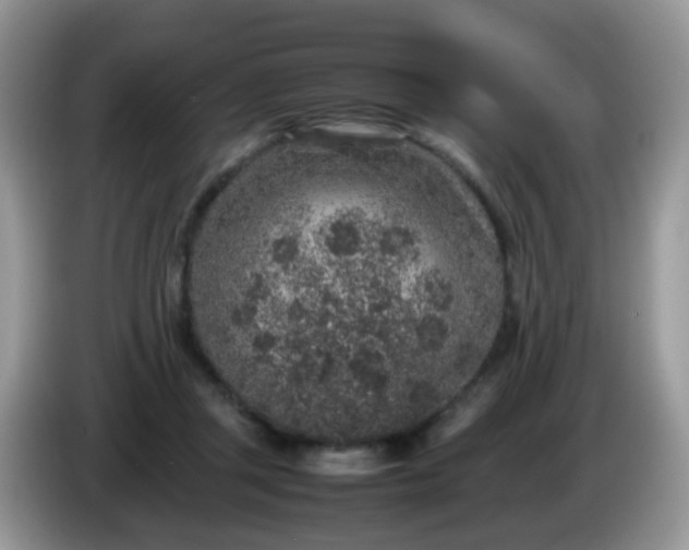 X0000086240357200704121937
